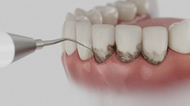Reliable Dental contractor in Winston-Salem, NC by Dentist Open Now